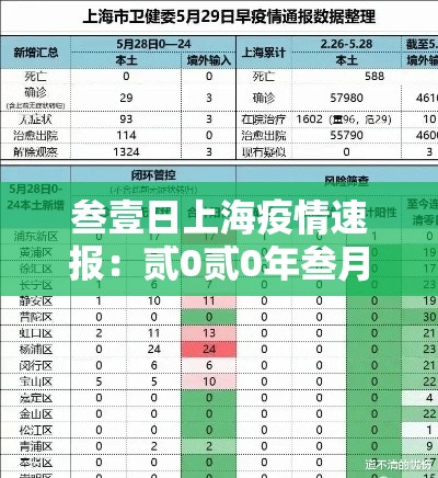 叁壹日上海疫情速报：贰0贰0年叁月上海疫情