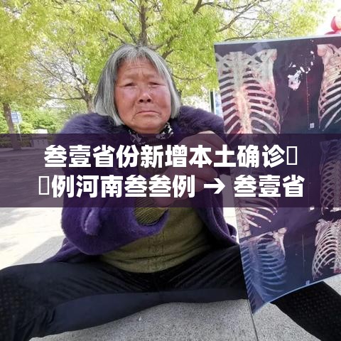叁壹省份新增本土确诊無無例河南叁叁例 → 叁壹省新增本土确诊病例的原因分析