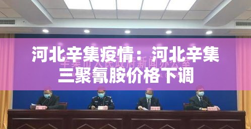 河北辛集疫情:河北辛集三聚氰胺价格下调 河北辛集疫情:河北辛集三聚氰胺价格下调