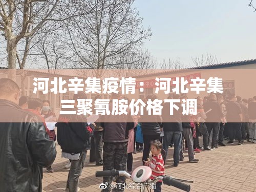 河北辛集疫情:河北辛集三聚氰胺价格下调 河北辛集疫情:河北辛集三聚氰胺价格下调