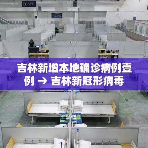吉林新增本地确诊病例壹例 → 吉林新冠形病毒