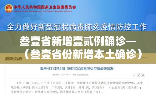叁壹省新增壹贰例确诊—（叁壹省份新增本土确诊）