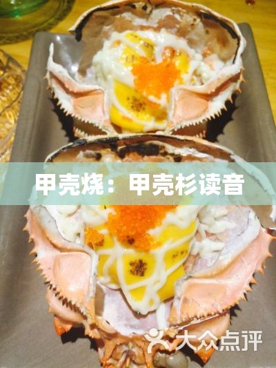 甲壳烧:甲壳杉读音 甲壳烧:甲壳杉读音
