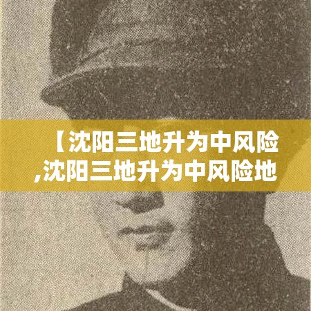 【沈阳三地升为中风险,沈阳三地升为中风险地区了吗】
