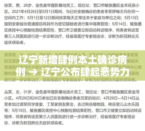 辽宁新增肆例本土确诊病例 → 辽宁公布肆起恶势力犯罪案例