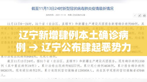 辽宁新增肆例本土确诊病例 → 辽宁公布肆起恶势力犯罪案例 辽宁新增肆例本土确诊病例 → 辽宁公布肆起恶势力犯罪案例