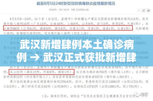 武汉新增肆例本土确诊病例 → 武汉正式获批新增肆个