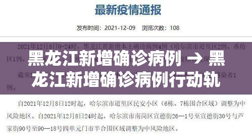 黑龙江新增确诊病例 → 黑龙江新增确诊病例行动轨迹