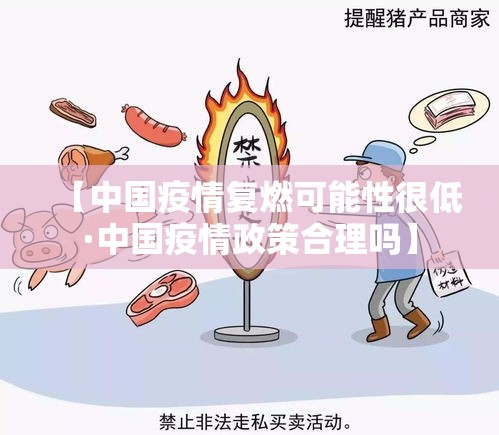 【中国疫情复燃可能性很低·中国疫情政策合理吗】 【中国疫情复燃可能性很低·中国疫情政策合理吗】