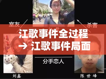 江歌事件全过程 → 江歌事件局面全部视频