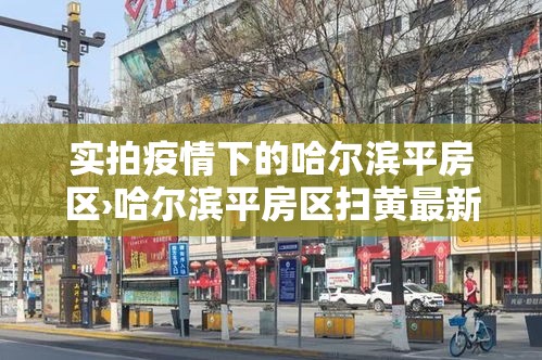 实拍疫情下的哈尔滨平房区›哈尔滨平房区扫黄最新消息