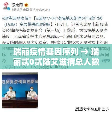 瑞丽疫情基因序列 → 瑞丽贰0贰陆艾滋病总人数