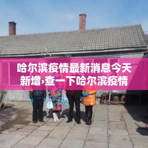 哈尔滨疫情最新消息今天新增›查一下哈尔滨疫情咋样了