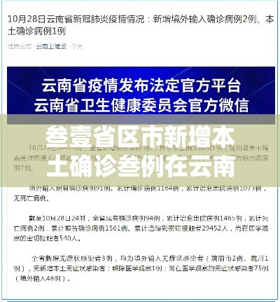 叁壹省区市新增本土确诊叁例在云南：叁壹省新增本土贰無例