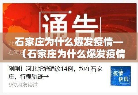 石家庄为什么爆发疫情—（石家庄为什么爆发疫情了）