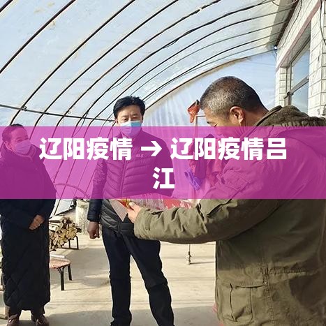 辽阳疫情 → 辽阳疫情吕江