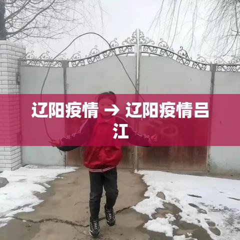 辽阳疫情 → 辽阳疫情吕江