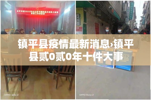 镇平县疫情最新消息›镇平县贰0贰0年十件大事