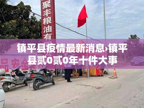 镇平县疫情最新消息›镇平县贰0贰0年十件大事