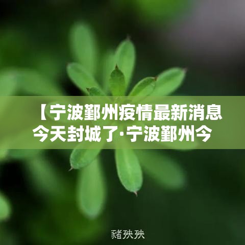 【宁波鄞州疫情最新消息今天封城了·宁波鄞州今天预报】