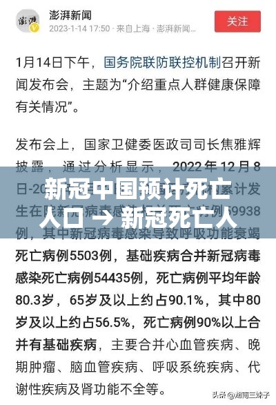 新冠中国预计死亡人口 → 新冠死亡人数累计多少例中国