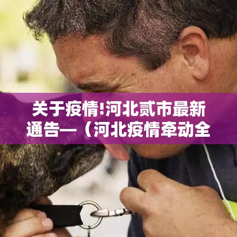 关于疫情!河北贰市最新通告—（河北疫情牵动全国人民的心）