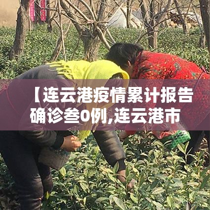 【连云港疫情累计报告确诊叁0例,连云港市疫情】