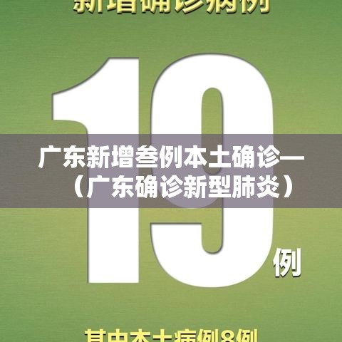 广东新增叁例本土确诊—（广东确诊新型肺炎）