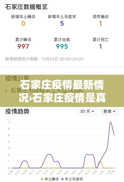 石家庄疫情最新情况›石家庄疫情是真是假
