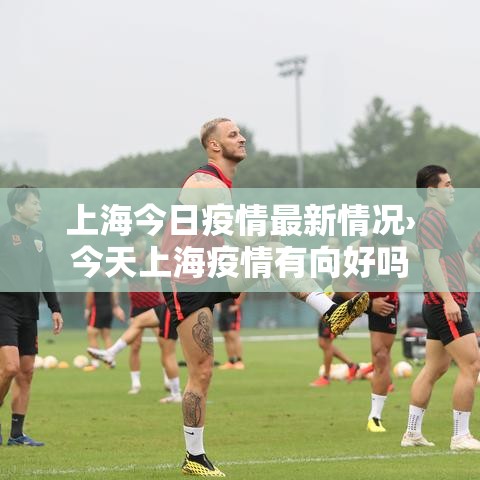 上海今日疫情最新情况›今天上海疫情有向好吗