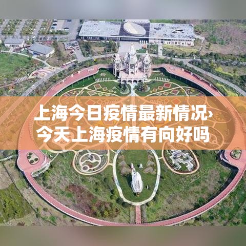 上海今日疫情最新情况›今天上海疫情有向好吗