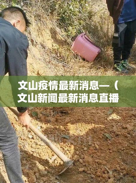 文山疫情最新消息—（文山新闻最新消息直播）