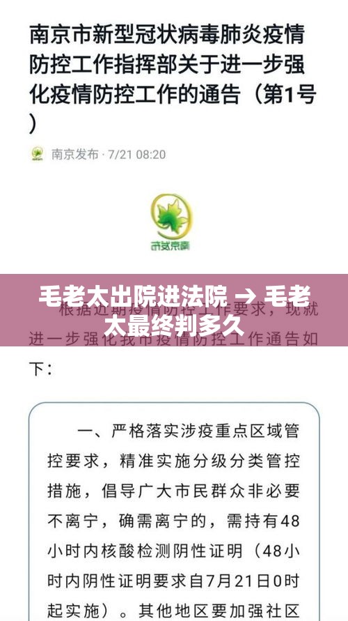 毛老太出院进法院 → 毛老太最终判多久