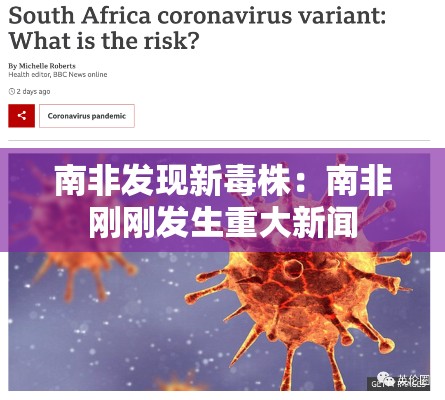 南非发现新毒株：南非刚刚发生重大新闻