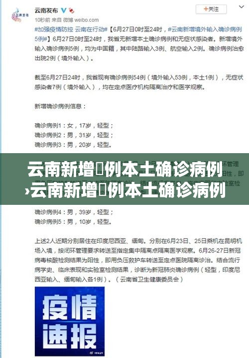 云南新增無例本土确诊病例›云南新增無例本土确诊病例详细情况公布