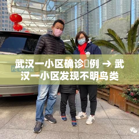 武汉一小区确诊無例 → 武汉一小区发现不明鸟类