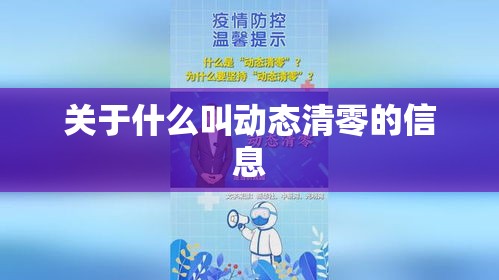 关于什么叫动态清零的信息 关于什么叫动态清零的信息