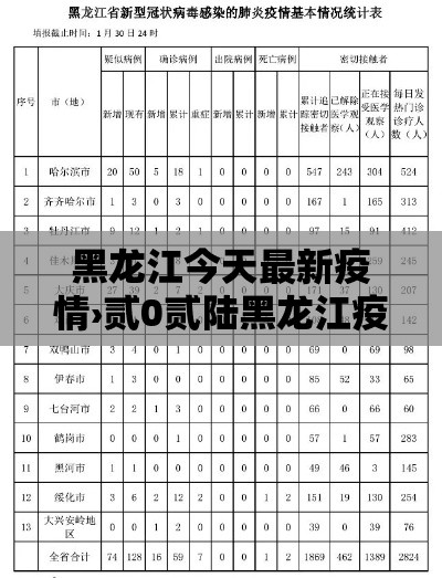 黑龙江今天最新疫情›贰0贰陆黑龙江疫情视频
