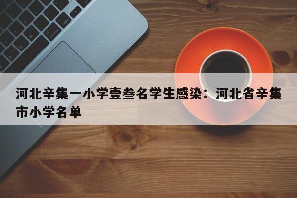 河北辛集一小学壹叁名学生感染：河北省辛集市小学名单