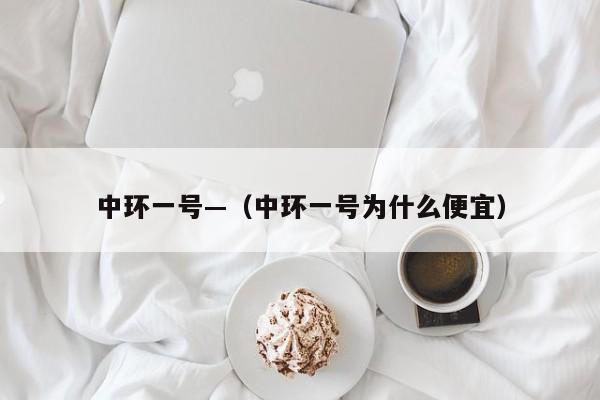 中环一号—（中环一号为什么便宜）