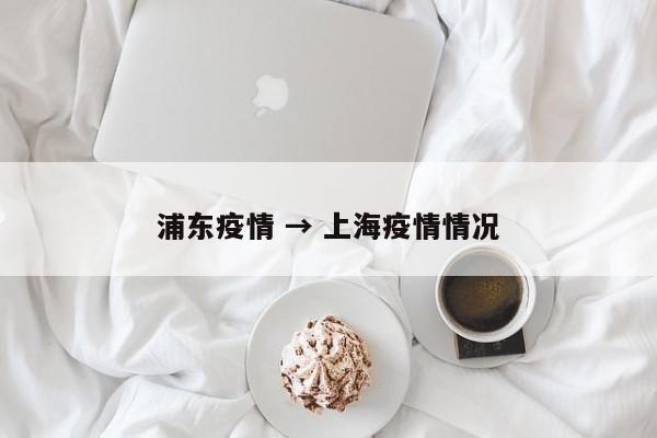 浦东疫情 → 上海疫情情况