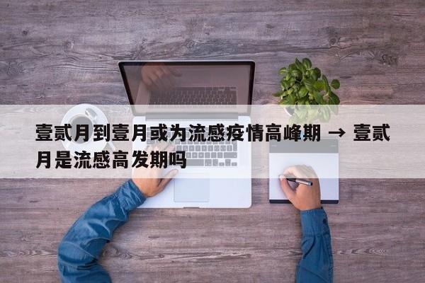 壹贰月到壹月或为流感疫情高峰期 → 壹贰月是流感高发期吗