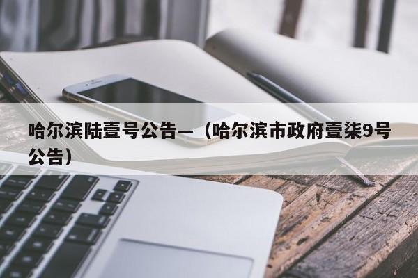 哈尔滨陆壹号公告—(哈尔滨市政府壹柒9号公告)