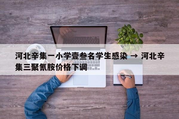 河北辛集一小学壹叁名学生感染 → 河北辛集三聚氰胺价格下调