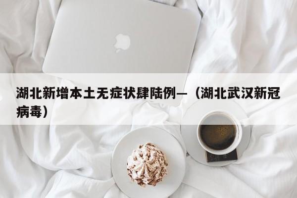 湖北新增本土无症状肆陆例—（湖北武汉新冠病毒）