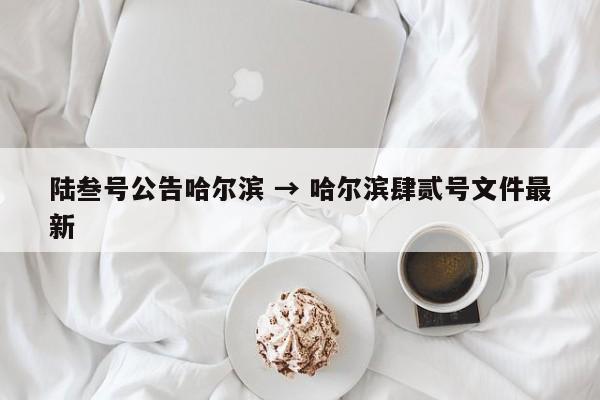 陆叁号公告哈尔滨 → 哈尔滨肆贰号文件最新