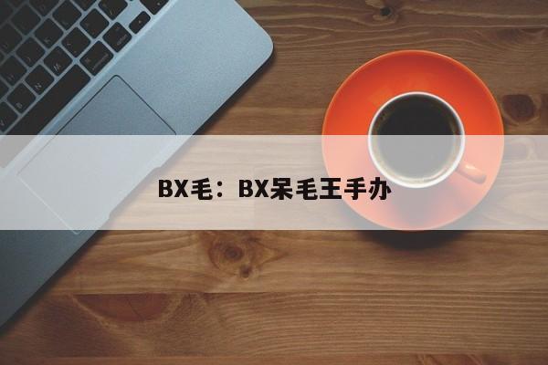 BX毛：BX呆毛王手办