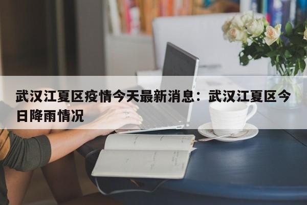 武汉江夏区疫情今天最新消息：武汉江夏区今日降雨情况