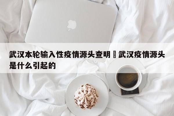 武汉本轮输入性疫情源头查明›武汉疫情源头是什么引起的