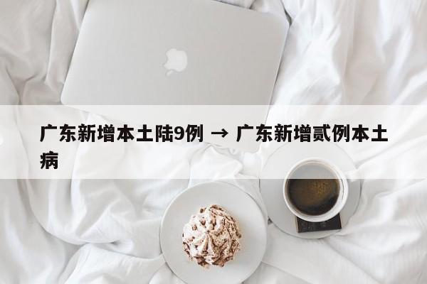 广东新增本土陆9例 → 广东新增贰例本土病